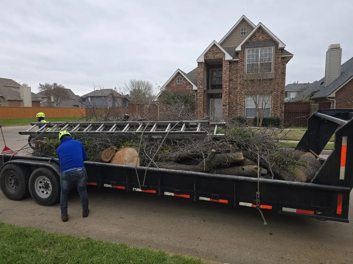 Expert Tree Pest Control with proper safety equipment in Martins Creek
